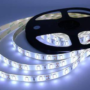 Container Shipping LED Lights from China to the USA